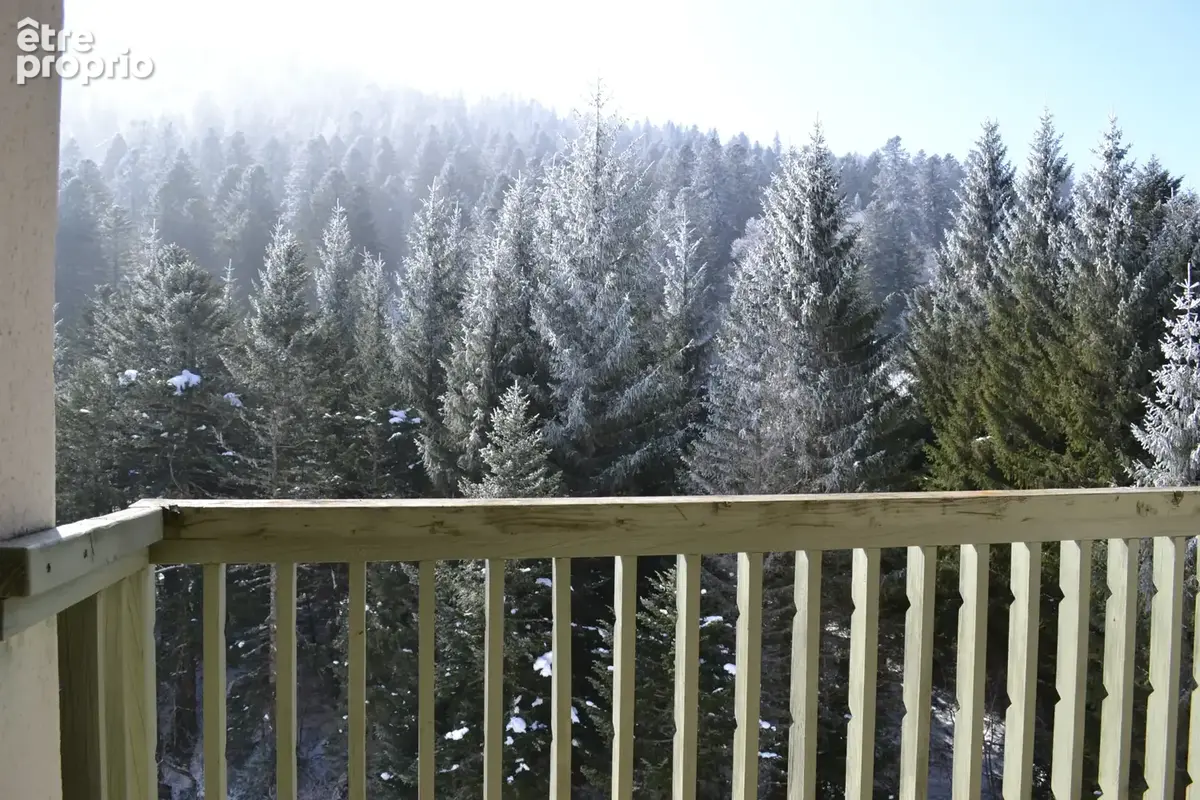 T2 en duplex face à la forêt - photo 8