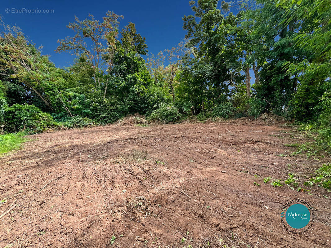 Terrain à BALLANCOURT-SUR-ESSONNE