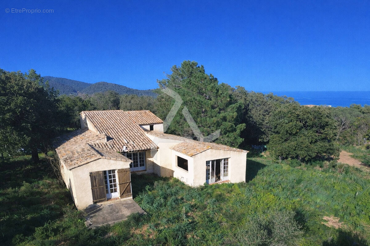 Maison à ZONZA
