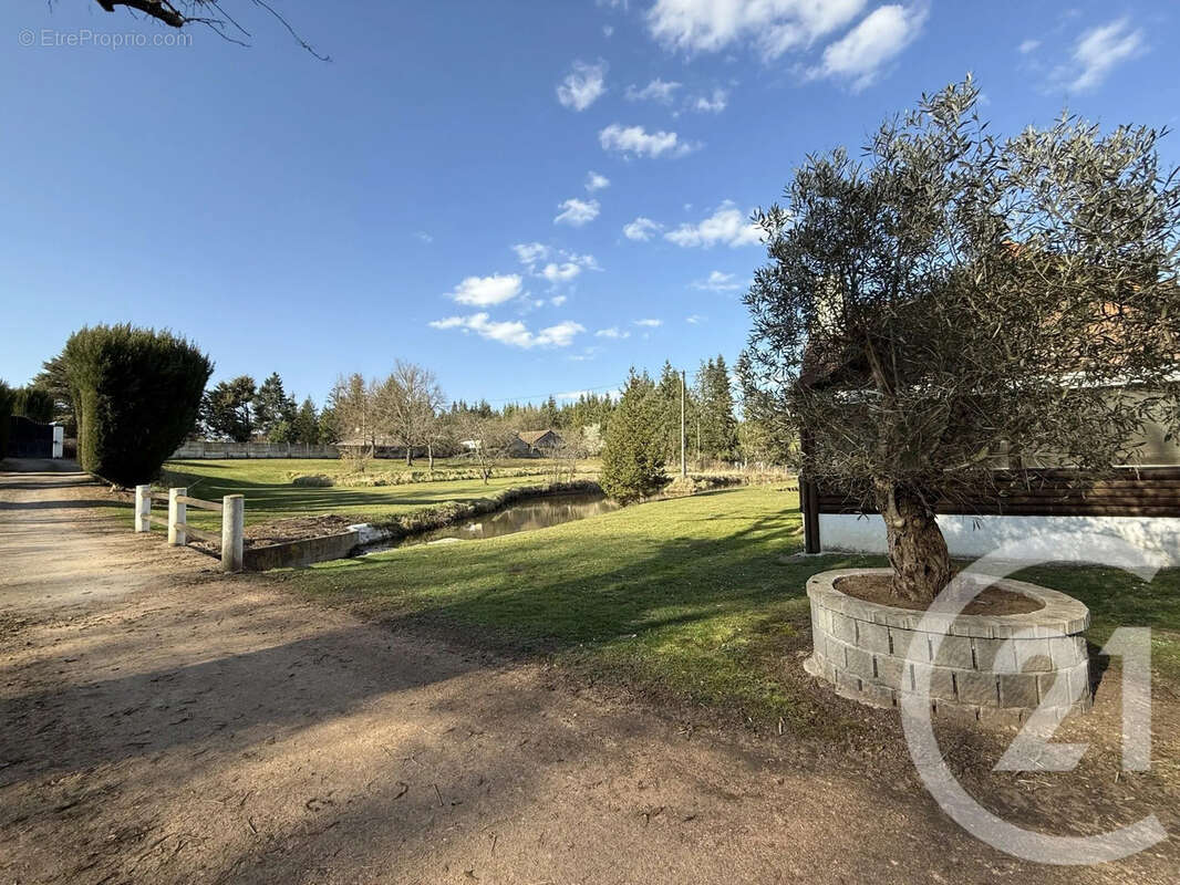 Maison à VILLENEUVE-SUR-ALLIER