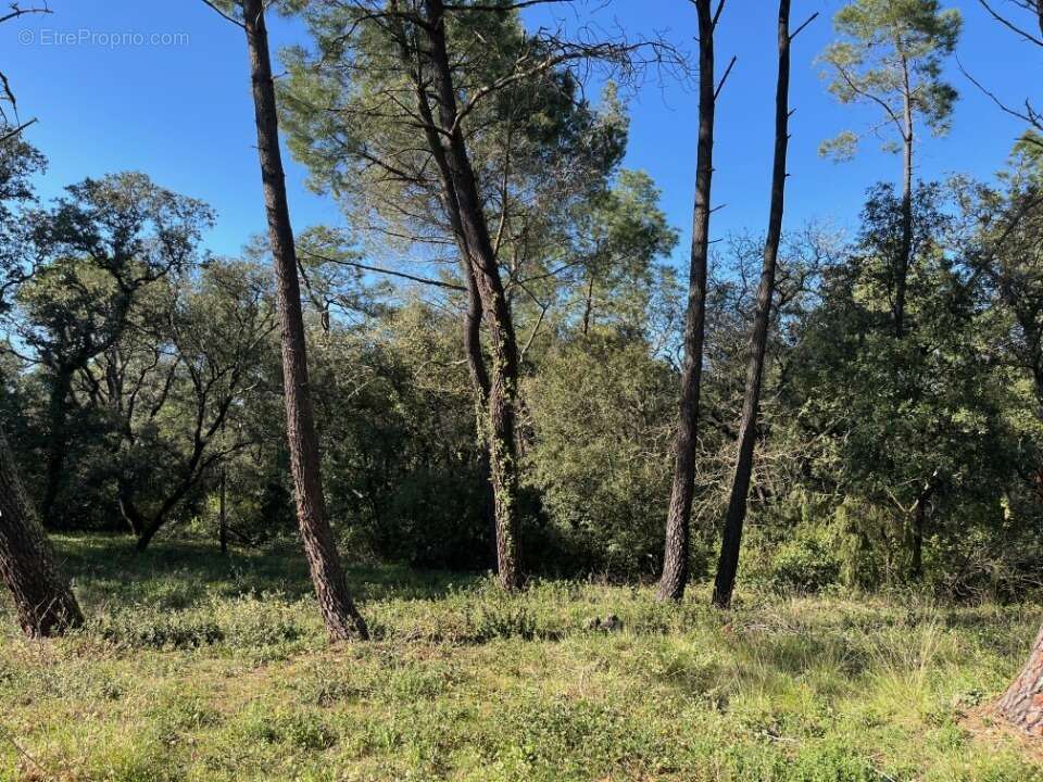 Terrain à SUZE-LA-ROUSSE