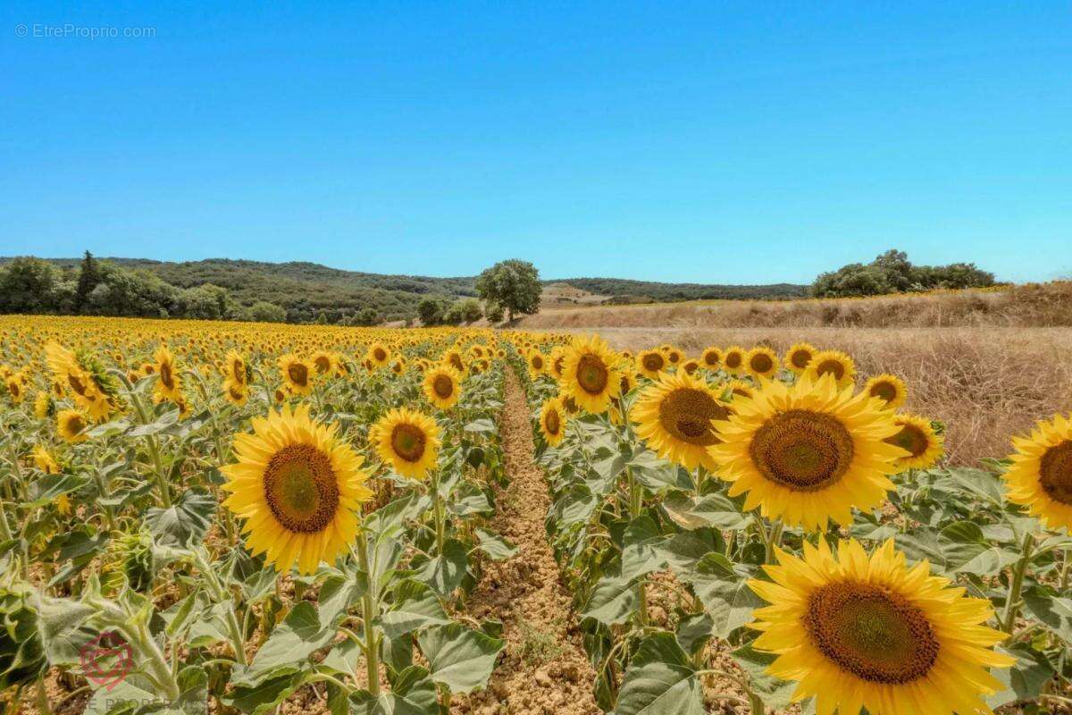 Maison à CASTELNAUDARY