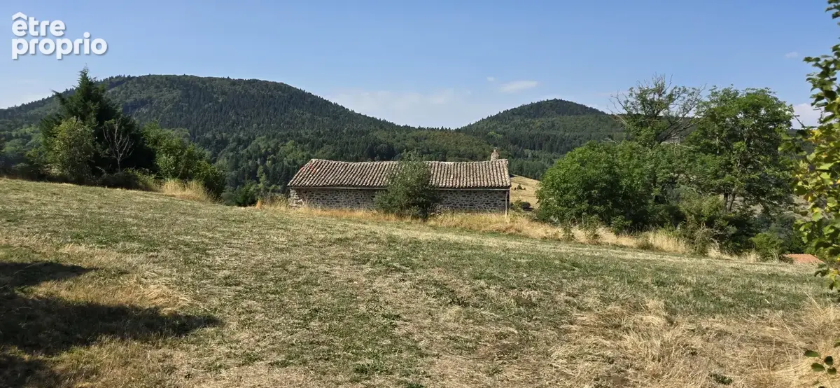 Photo Maison à Presailles au prix de 228 000€
