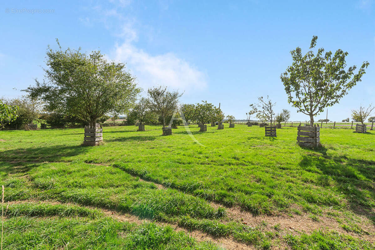 Maison à SAINT-DENIS-D&#039;ANJOU