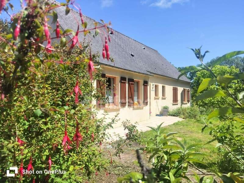 Maison à BERRIEN