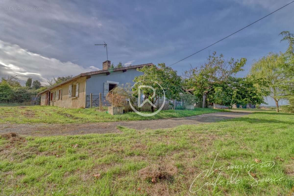 campagne nature gers - Maison à AUBIET