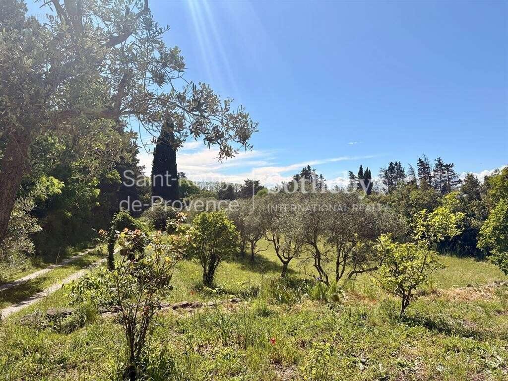 Authentique mas familial au coeur d'un parc de plus de 3 hectares - photo 6