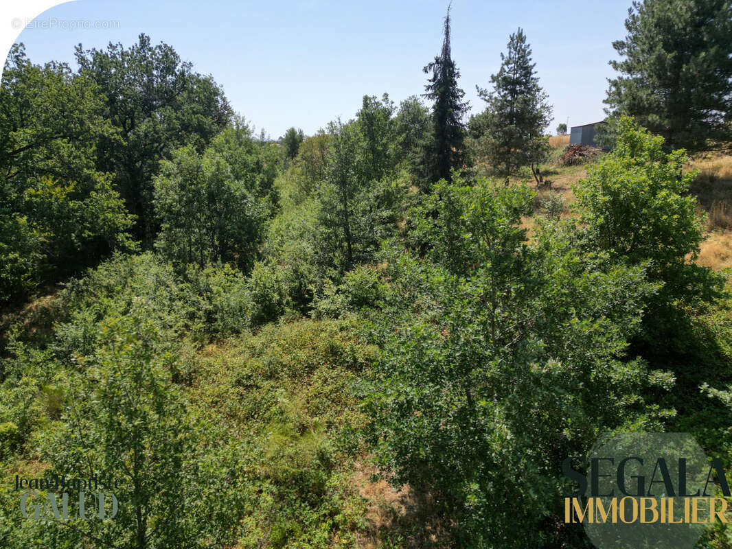 Terrain constructible boisé de 6 310 m2 à Mirandol-Bourgnounac - photo 11