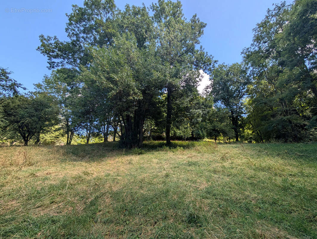 Terrain - Vienne  -16000 m2 - photo 10