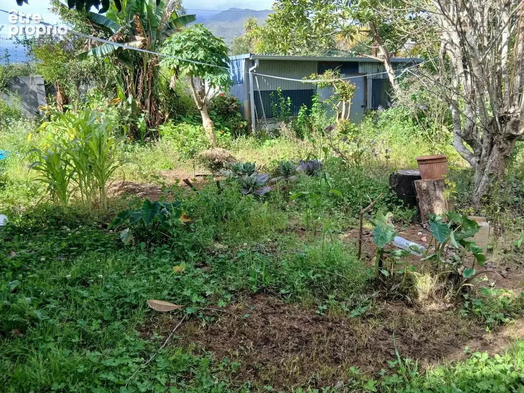 Terrain constructible de 669 m² à Saint-Joseph grand coude - photo 10