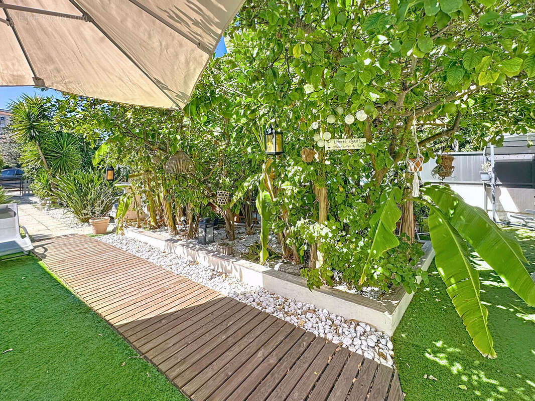 Photo 8 - Maison à CANNES