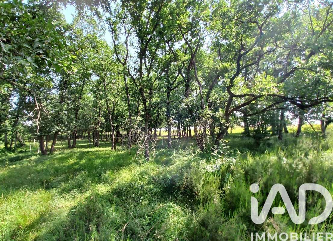 Maison 132 m² à Auvillar  - photo 4
