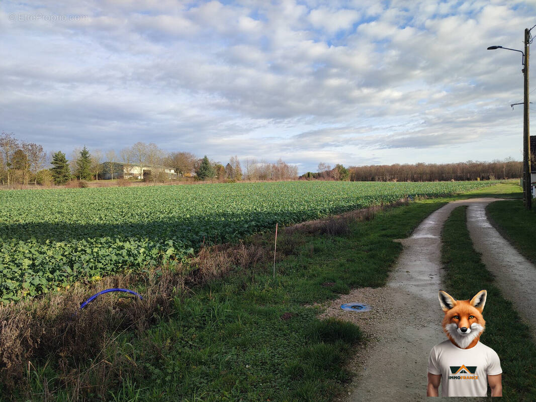 Terrain à SAINT-AUBIN