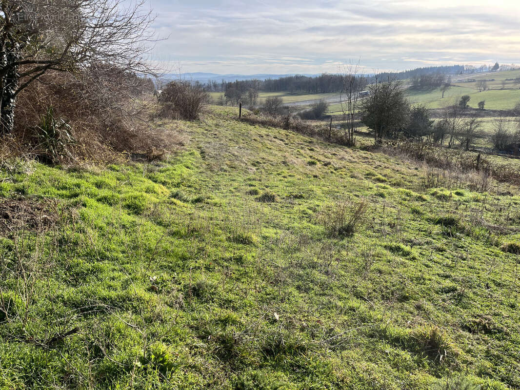 Terrain à SAINT-MAURICE-DE-LIGNON