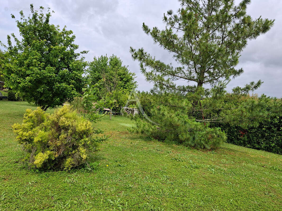 Terrain à L&#039;ISLE-JOURDAIN
