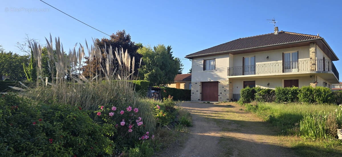 Maison à PONT-DU-CHATEAU