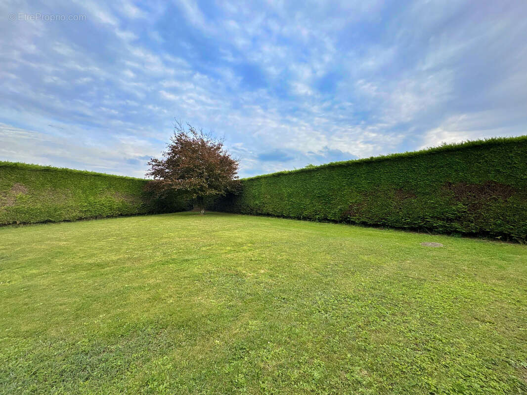 Maison à BELLE-ET-HOULLEFORT