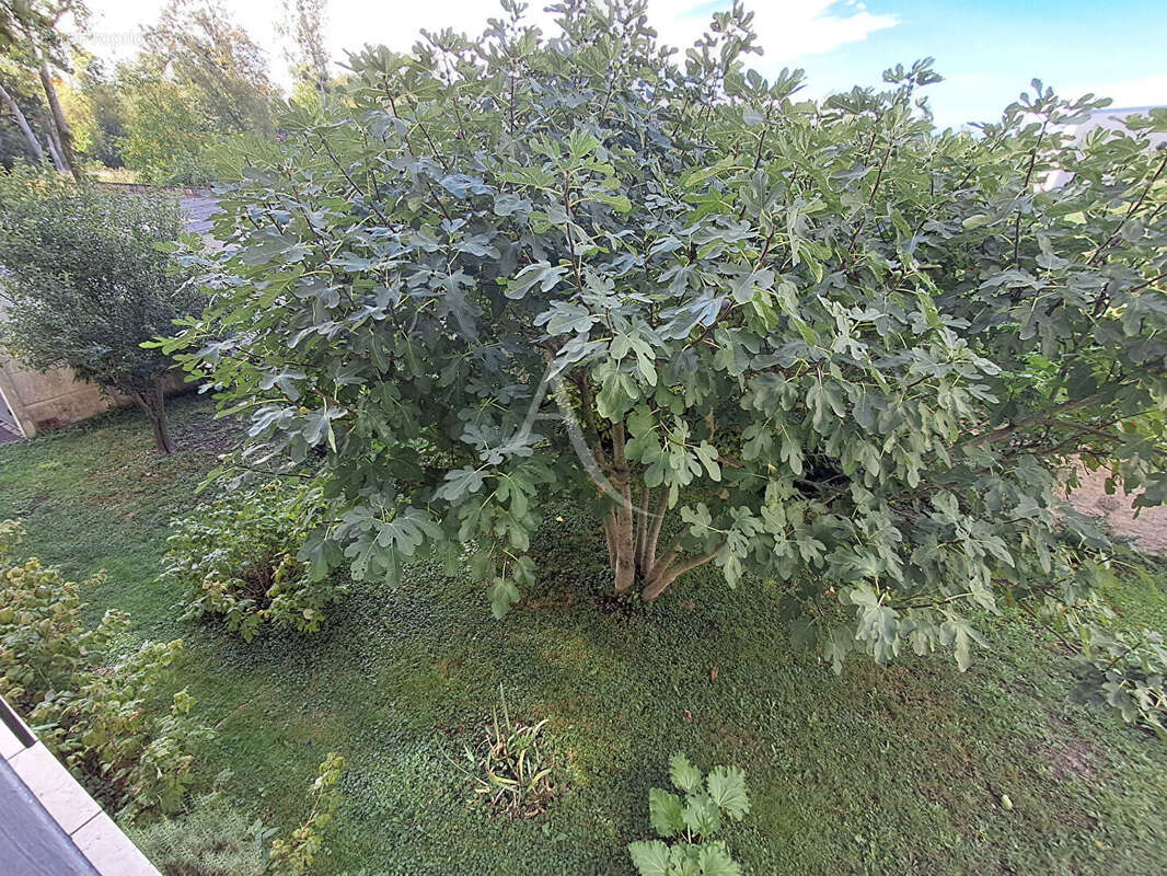 Appartement à MONTARGIS