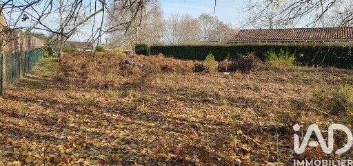 Photo 3 - Terrain à SAINT-PAUL-EN-BORN