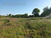 Terrain à SAINT-SAVINIEN