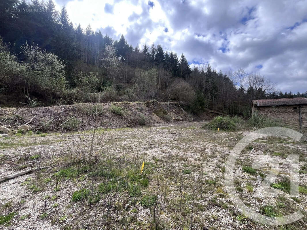 Terrain à VOCANCE