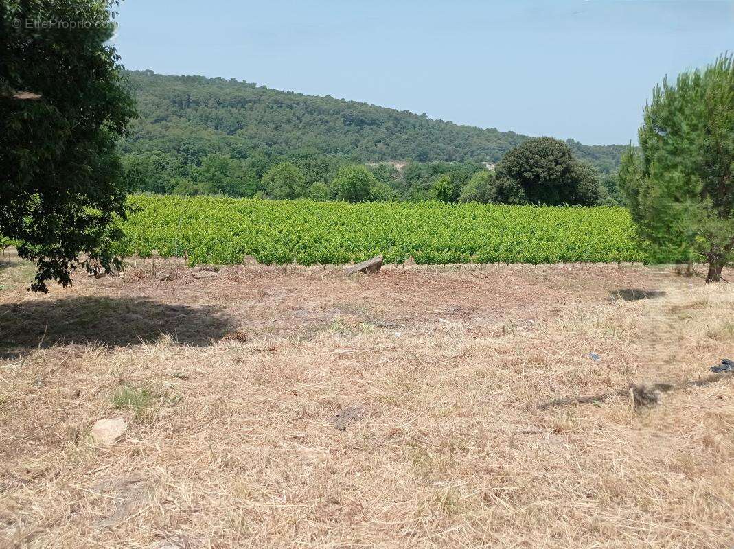 Terrain à SABRAN