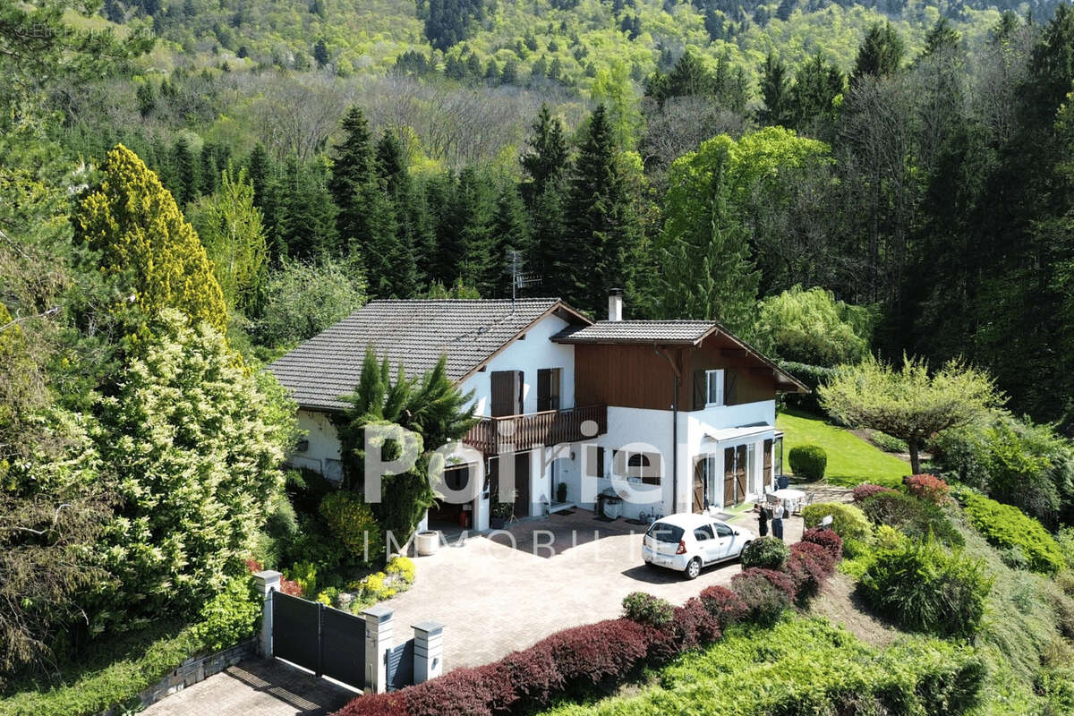 Maison à SAINT-CERGUES