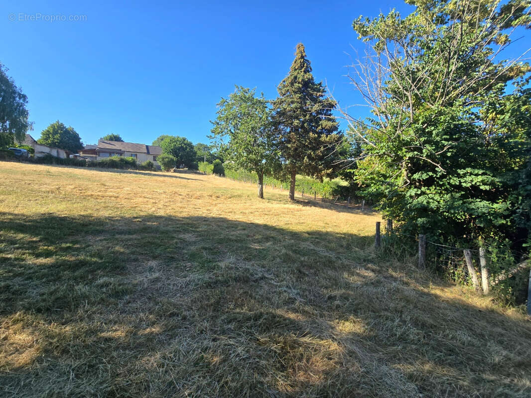 Corps de ferme a renover sur 4560m² - photo 17