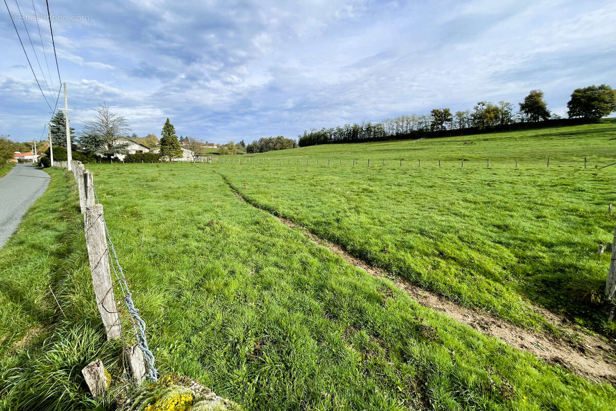 Terrain à VARENNE-SAINT-GERMAIN