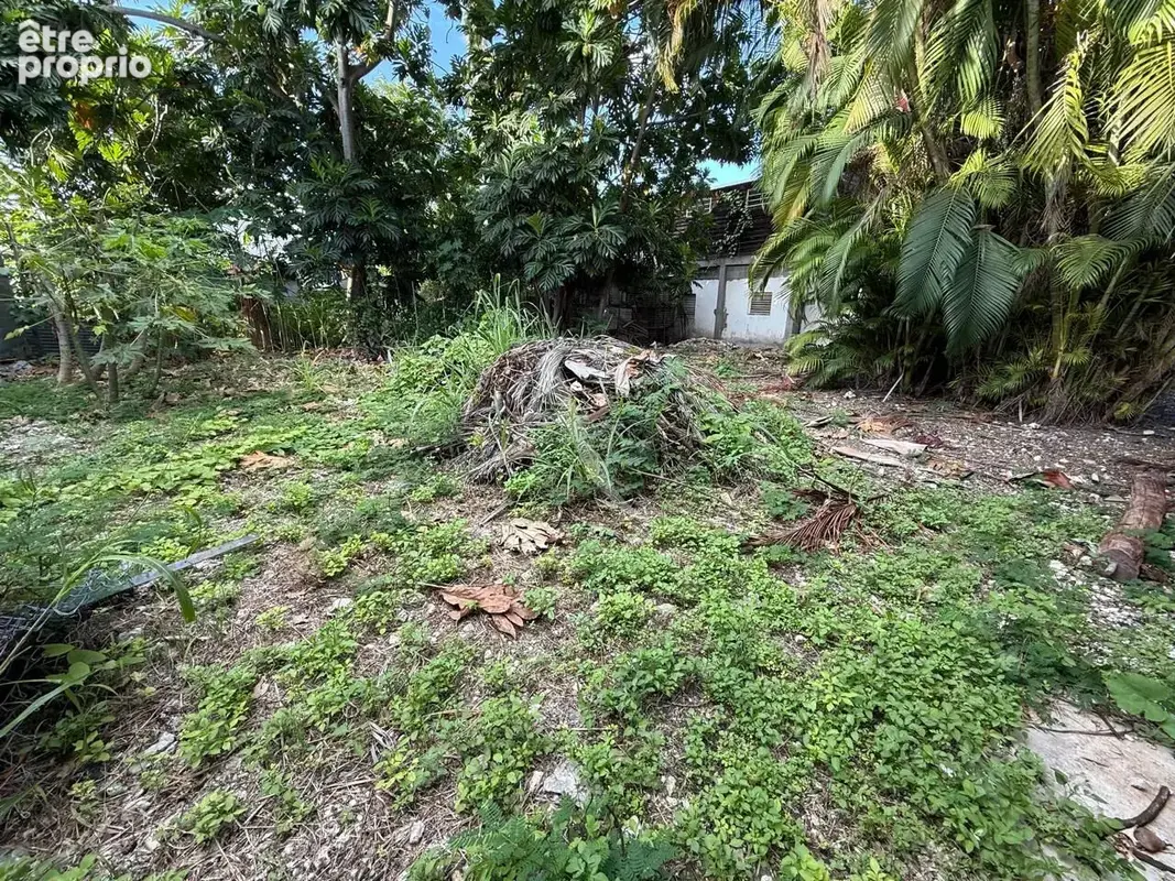 Terrain de 220 m² en plein coeur du bourg de SAINTE-ANNE - photo 4