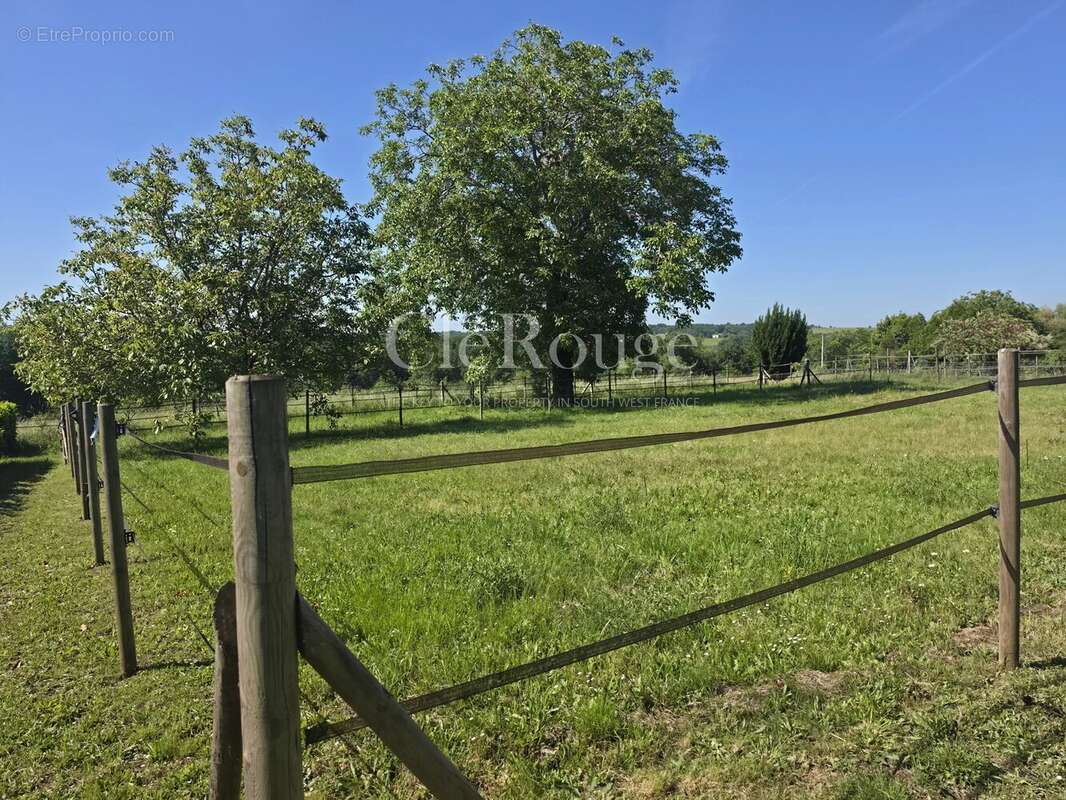 Belle propriété équestre clé en main sur 1,7 hectare au cœur de la campagne girondine - photo 27