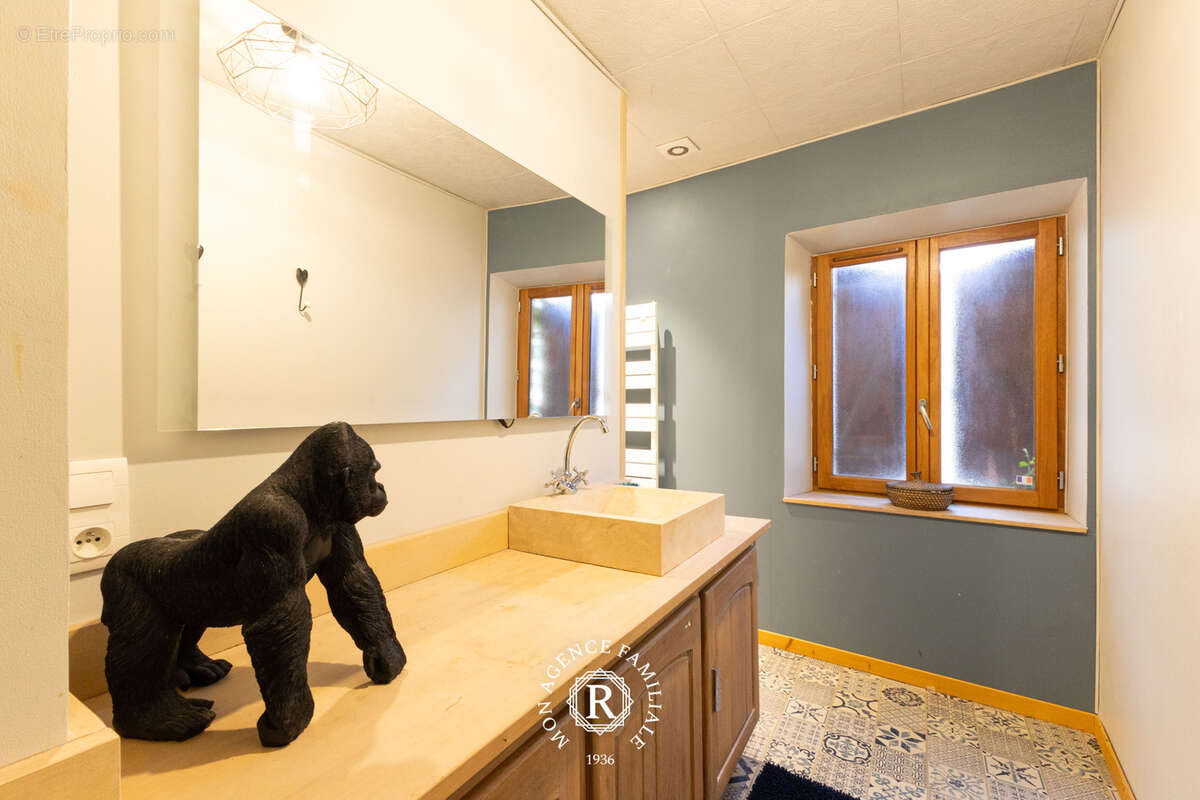 Maison à VIC-LE-COMTE