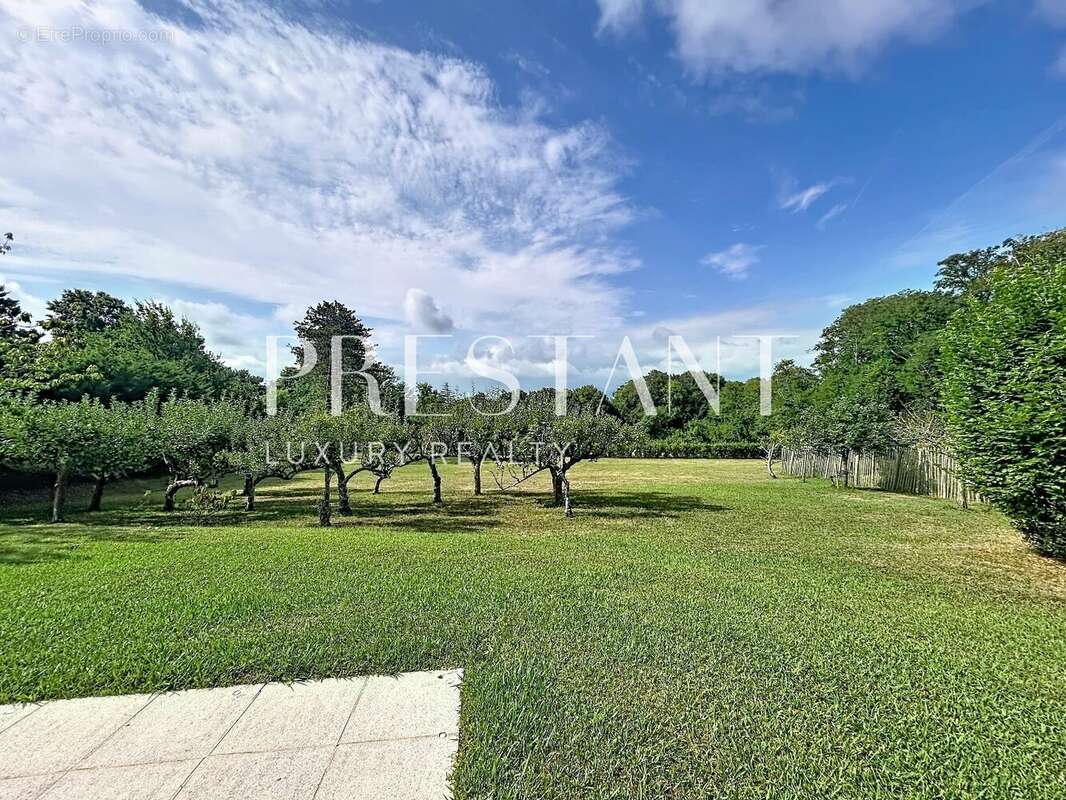 Maison familiale de 450 m2  avec piscine sur 3 hectares à Bidart - photo 12