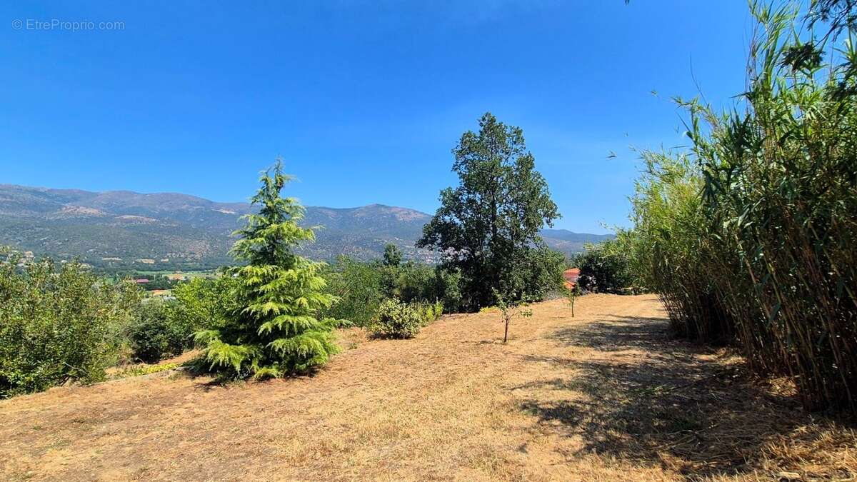 Maison à vendre 7 pièces PRADES (66) - photo 22