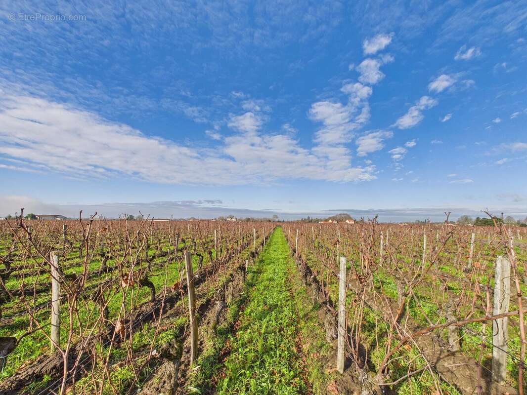 Maison à SAINT-EMILION