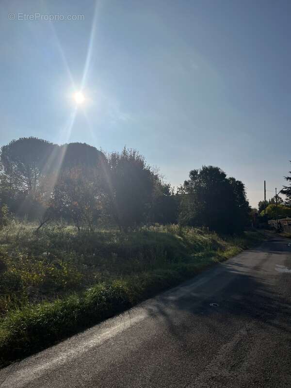 Terrain à ALBI