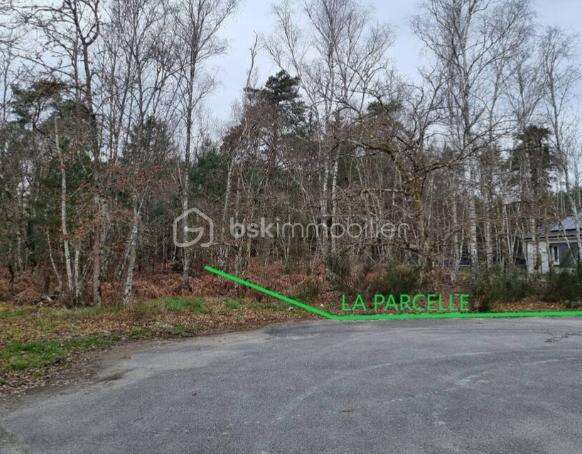 Terrain de 1646 m² - photo 8