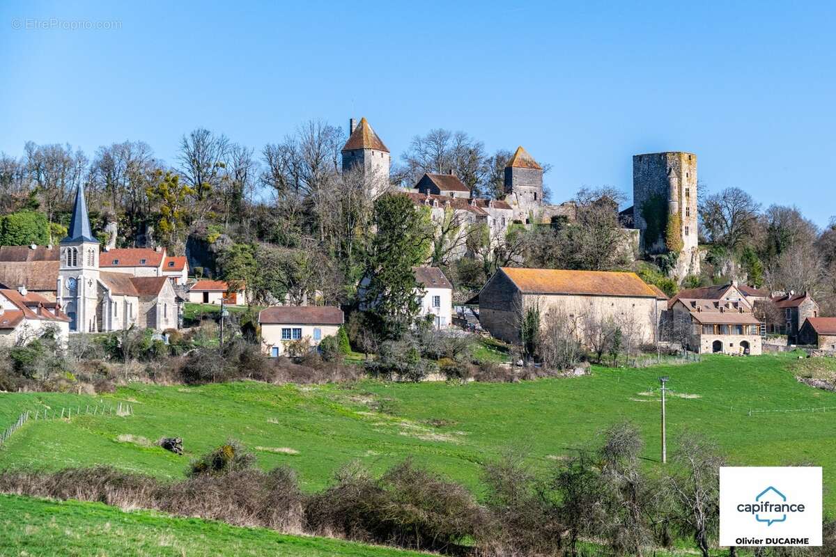 Murs et fonds : gite, chambres d'hôtes et table d'hôtes à vendre CHAUDENAY LE CHATEAU (21) - photo 4