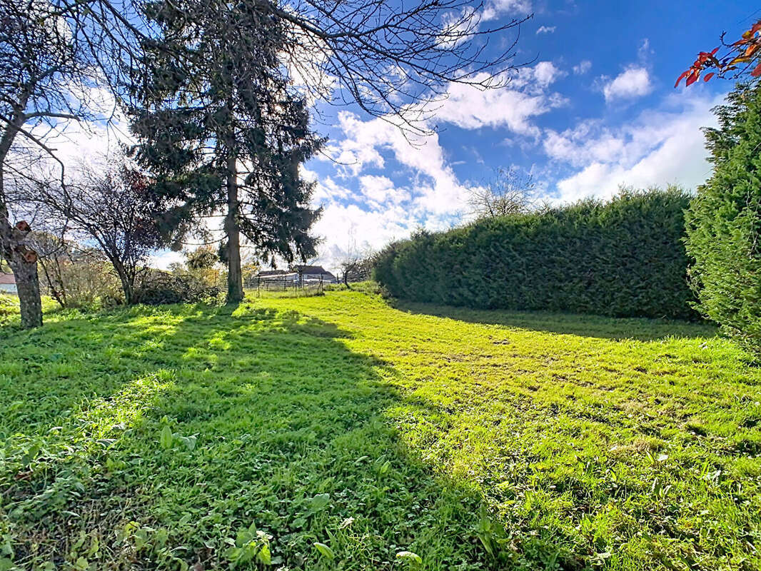 Commerce à DAMPIERRE