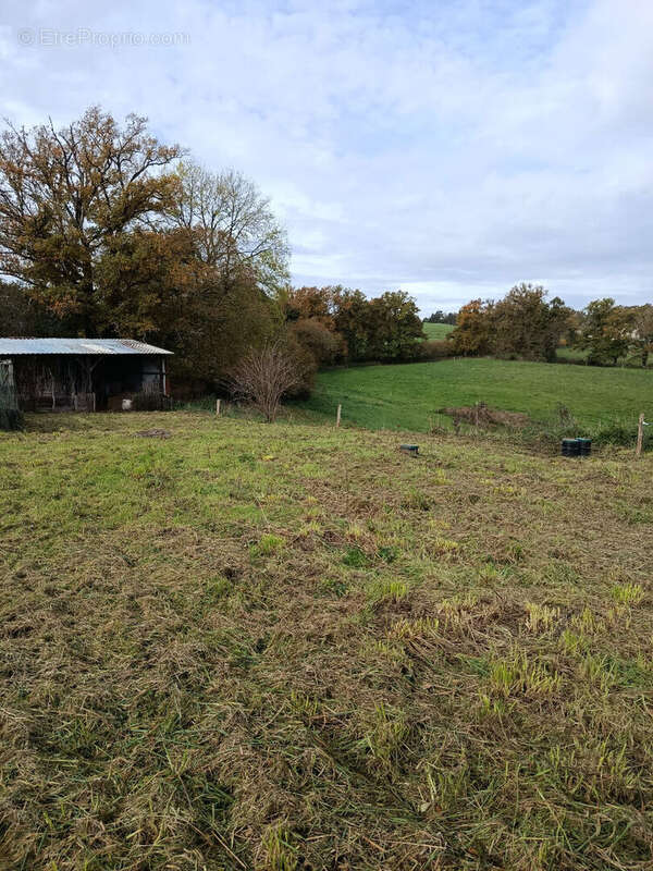 Maison à SAINT-MARTIN-LE-VIEUX