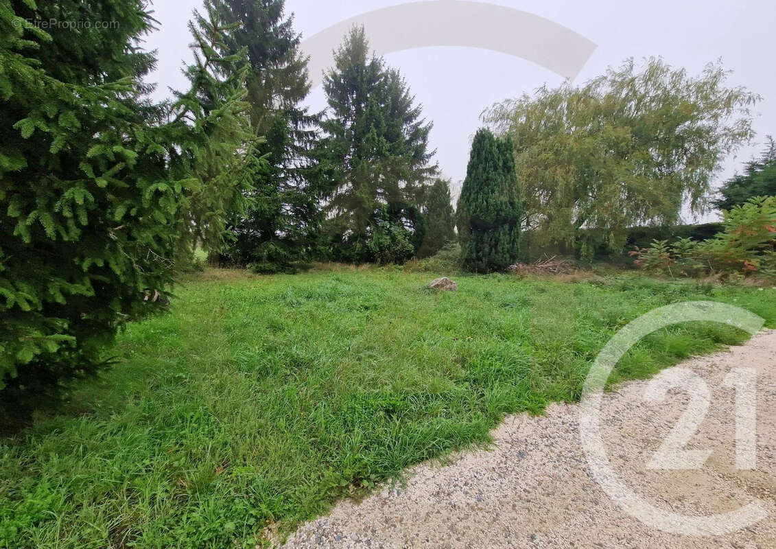 Terrain à CHATONNAY