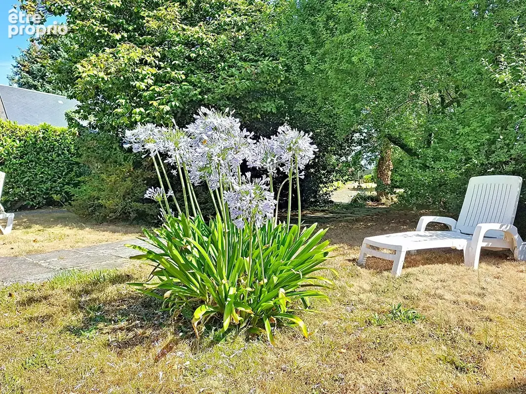 Maison  6 pièces 173 m²  50540 ISIGNY LE BUAT - photo 13