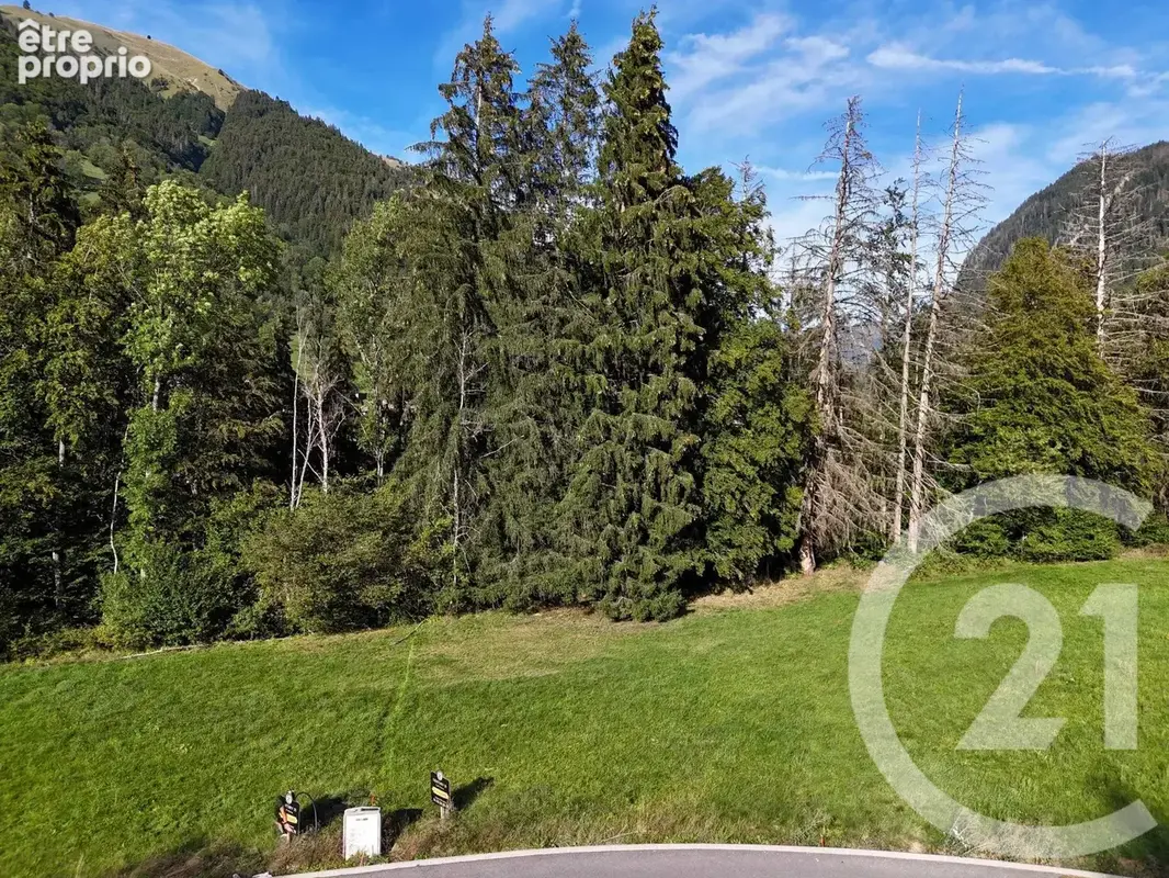 Photo Terrain à Montriond au prix de 350 000€