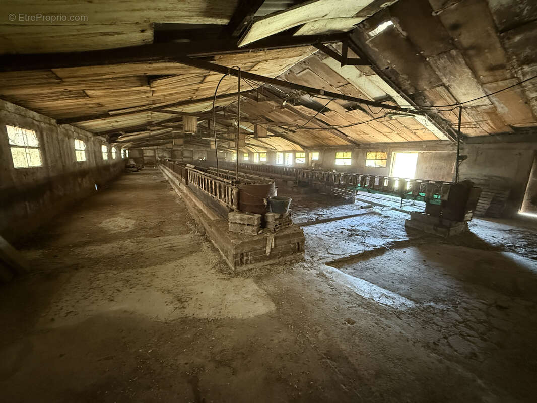 Autre à SAINT-VICTOR-ET-MELVIEU