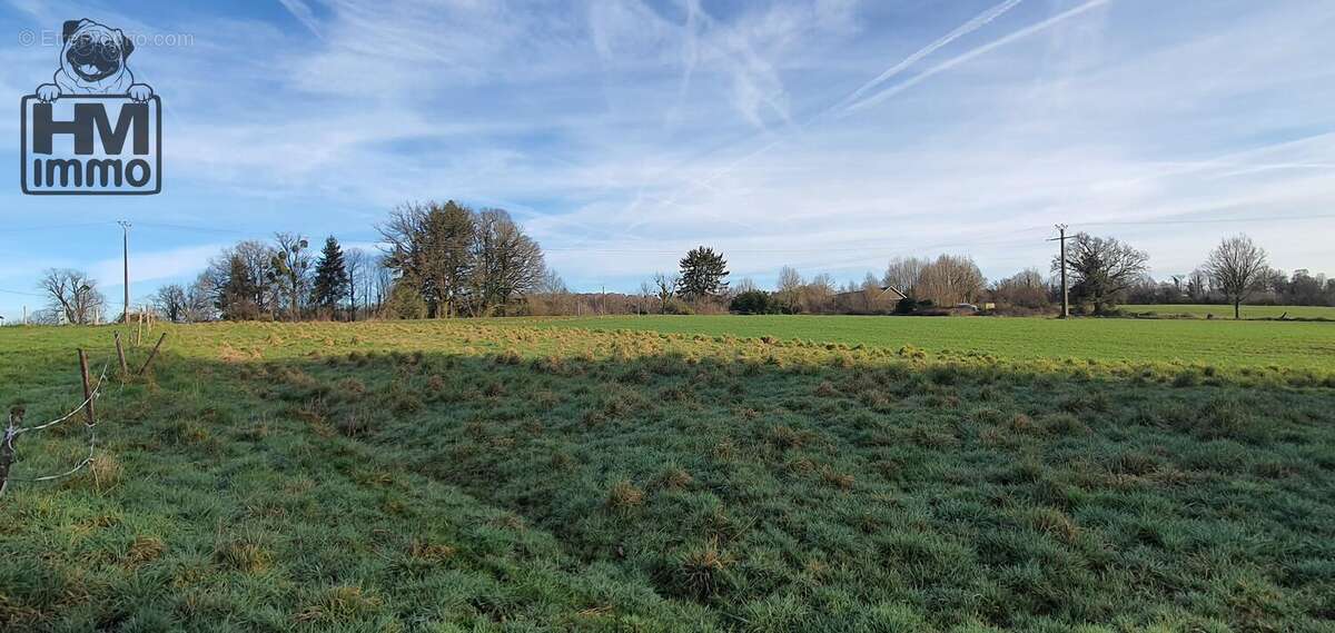 n°3 - Terrain à JUMILHAC-LE-GRAND