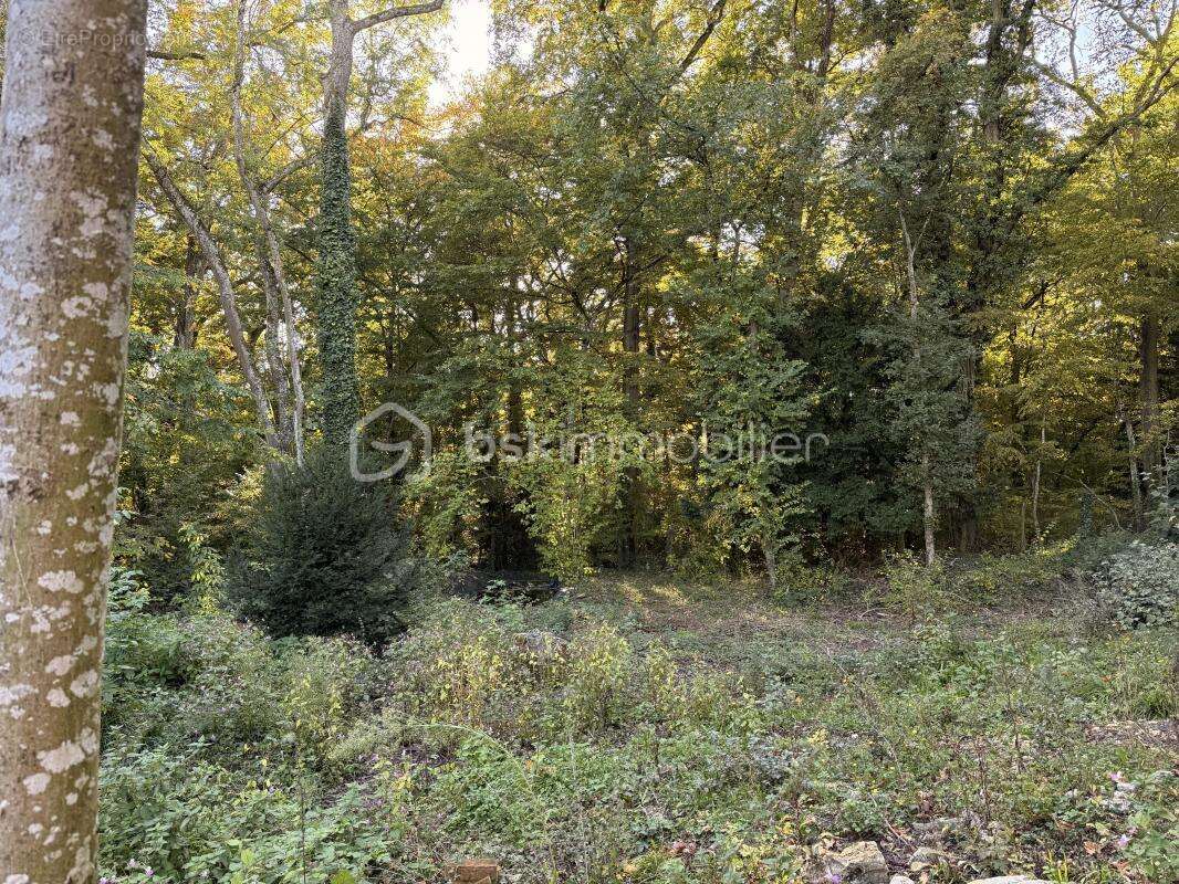 Maison à MONTIGNY-LENCOUP