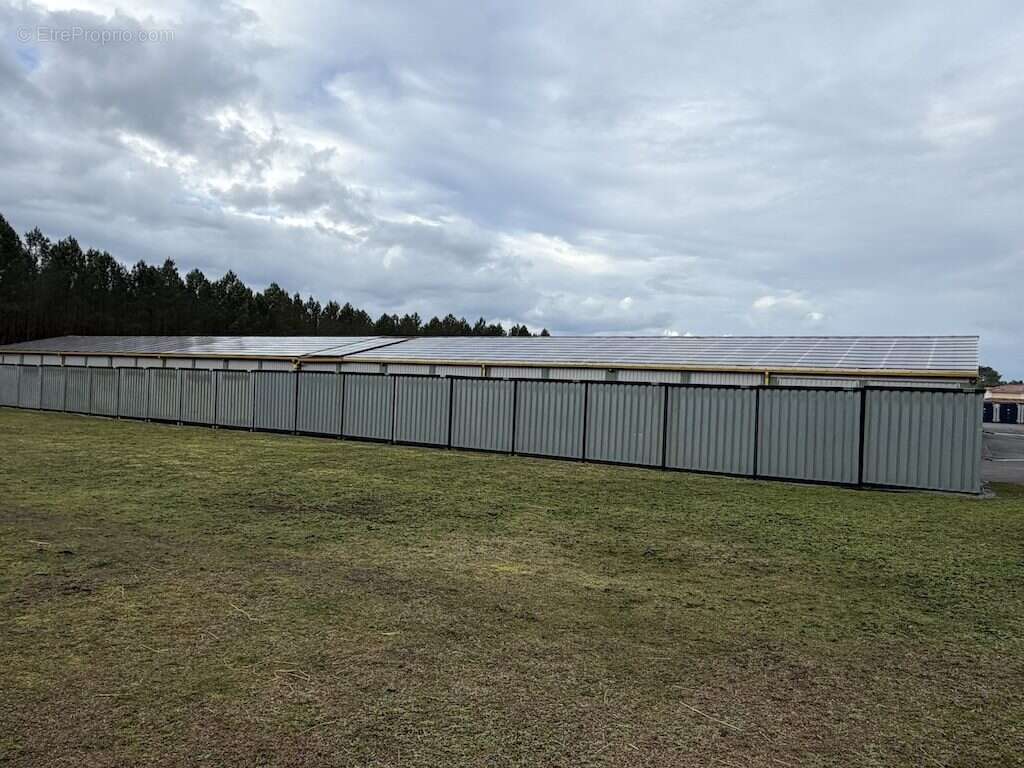 Commerce à SAINT-JULIEN-EN-BORN