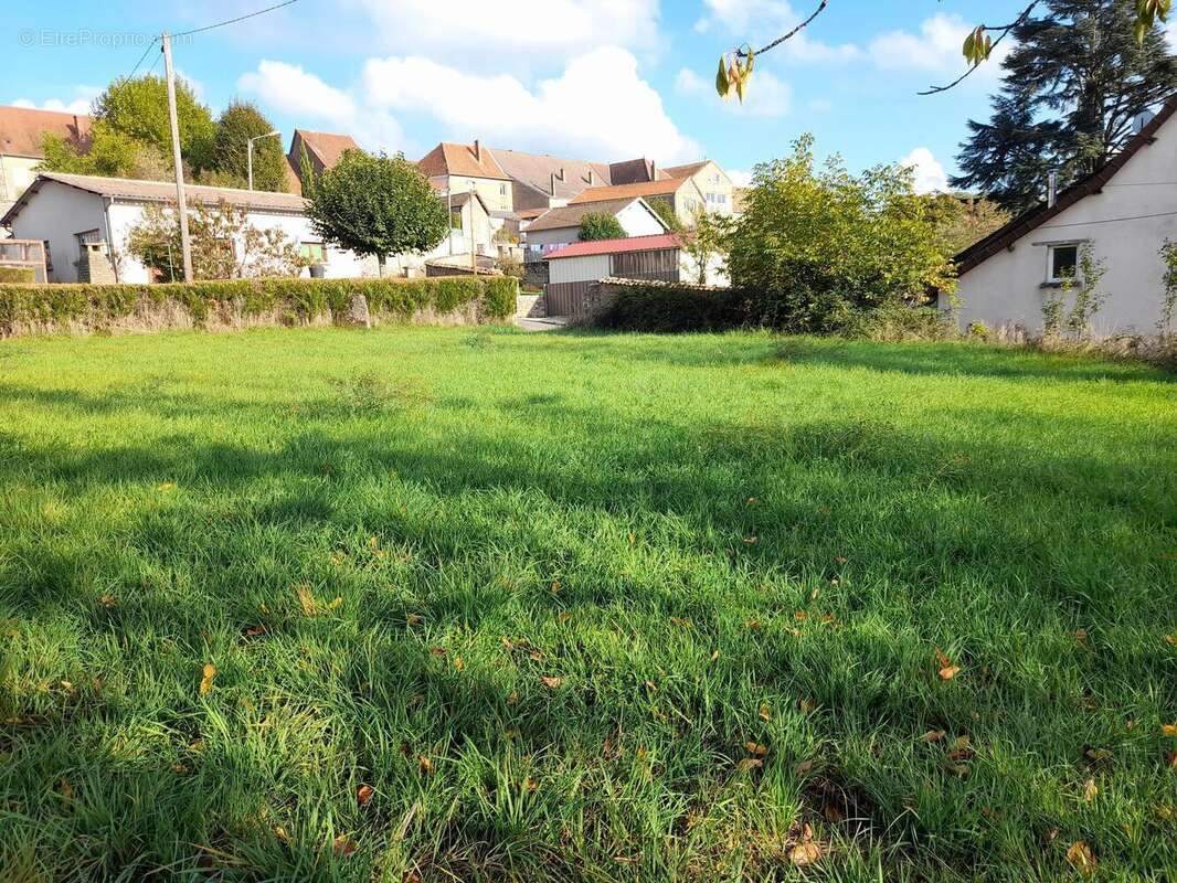 Photo 3 - Terrain à SAINT-CHRISTOPHE-EN-BRIONNAIS