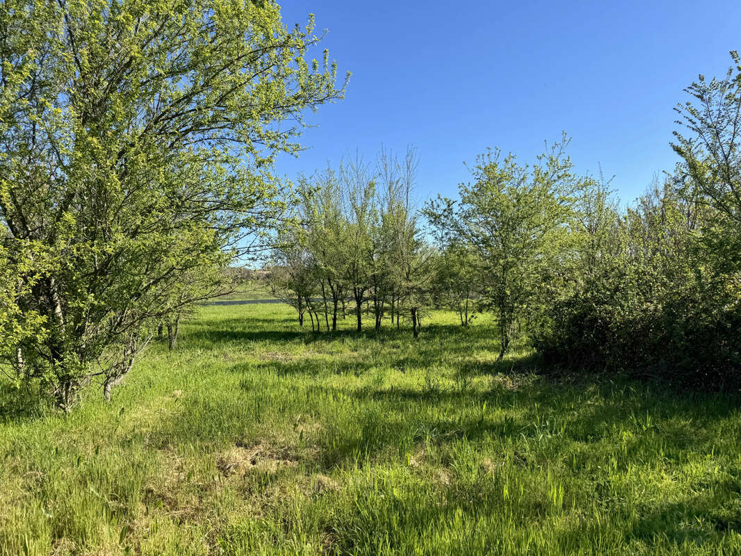 Terrain à LA BRUGUIERE