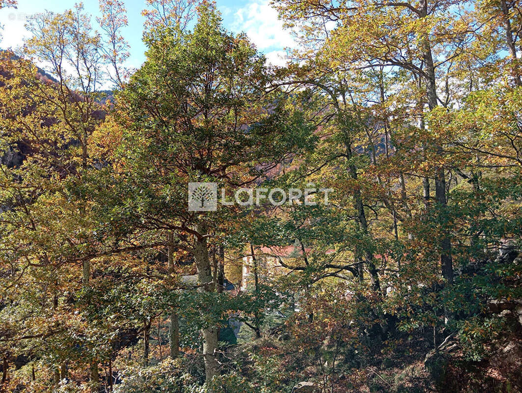 Appartement à LAMANERE